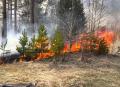 Высокий уровень пожароопасности сохранится в Волгодонске в ближайшие дни Высокий уровень пожароопасности сохранится в Волгодонске в ближайшие дни