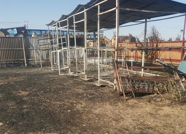В Волгодонске загорелась территория конного клуба