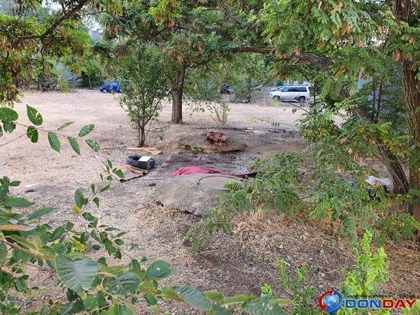 «Отдыхающие под деревом»: жители одного из домов в Волгодонске жалуются на пьяную компанию во дворе