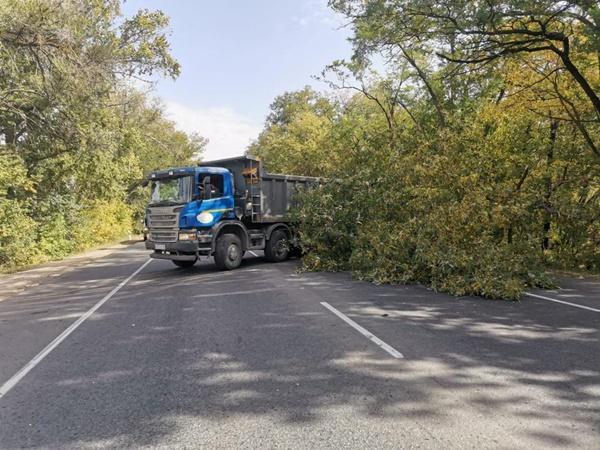 Упавшее из-за бури дерево перекрыло движение по трассе Ростов-Волгодонск