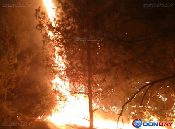 Лесной пожар в Цимлянском районе распространился на площади 342 гектара: видео