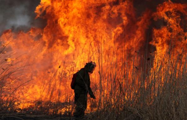 Названы причины резкого увеличения пожаров в Ростовской области