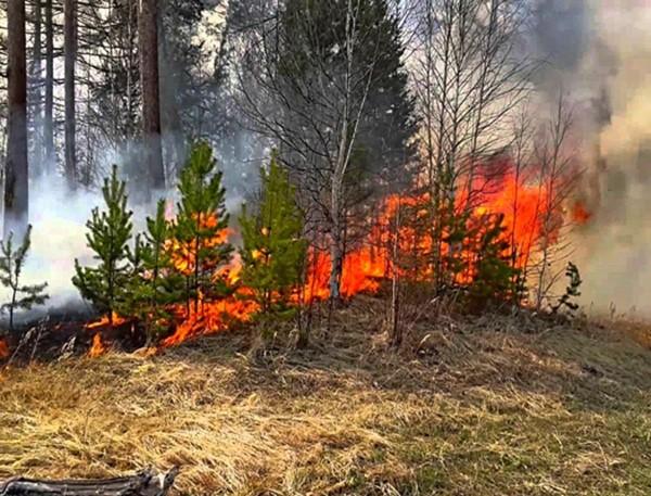 В Волгодонске сохраняется чрезвычайный уровень пожароопасности