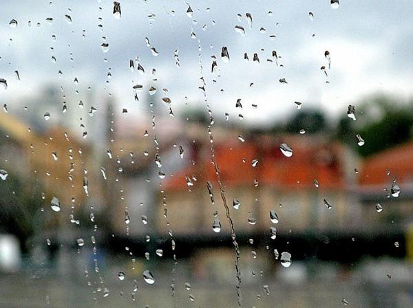Небольшой ливневый дождь прогнозируется на выходных в Волгодонске