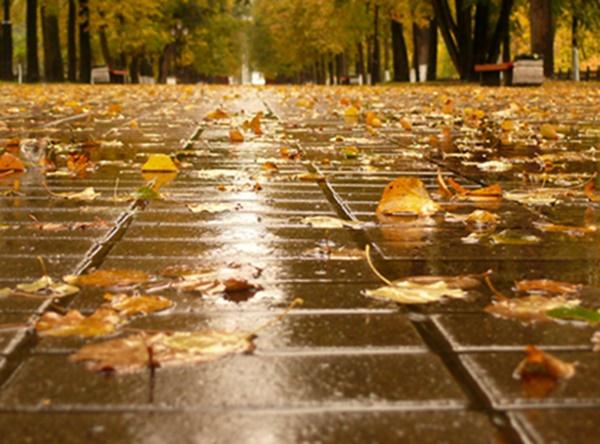 Первая неделя ноября будет пасмурной и дождливой в Волгодонске