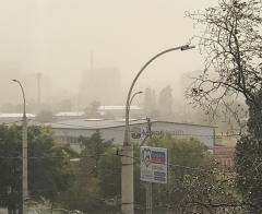 Из-за пыльной бури посевы на Дону оказались под угрозой