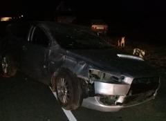 Иномарка перевернулась из-за стада баранов в Мартыновском районе: пострадали четверо