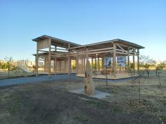 Горожан просят поддержать проект реконструкции парка «Молодежный» в Волгодонске в народном голосовании