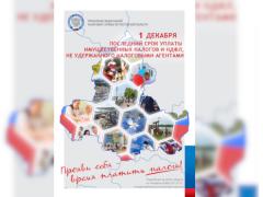 Жителям Волгодонска напоминают о своевременной уплате налогов