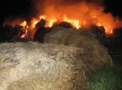 Крупный пожар произошел в одном из сенников Мартыновского района