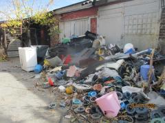 Волгодонскую компанию, разводящую свиней, оштрафуют за разведение беспорядка