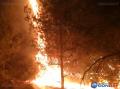 Лесной пожар в Цимлянском районе распространился на площади 342 гектара: видео Лесной пожар в Цимлянском районе распространился на площади 342 гектара: видео