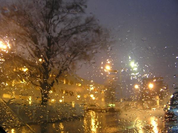 Дождливой, но теплой будет последняя рабочая неделя ноября в Волгодонске