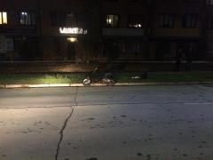 17-летний скутерист пострадал в одиночной аварии в Волгодонске