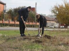 Активные жители Волгодонска привели в порядок Аллею почетных захоронений и Экологический сквер