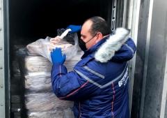 Африканскую чуму свиней обнаружили в пробах продукции свиноводства на Дону