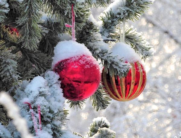 Синоптики передумали: в новый год в Волгодонске прогнозируются снег и морозы