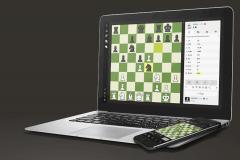 Юные шахматисты Волгодонска завоевали 13 призовых мест на фестивале «Мирный Атом»