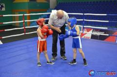 В Волгодонске прошло открытие первенства города по боксу