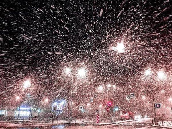 Ночью метель, утром дождь: о погоде в Волгодонске на ближайшие сутки