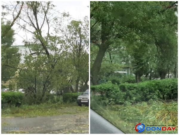 Ураганный ветер в Волгодонске валит деревья на машины и ломает остановки: видео