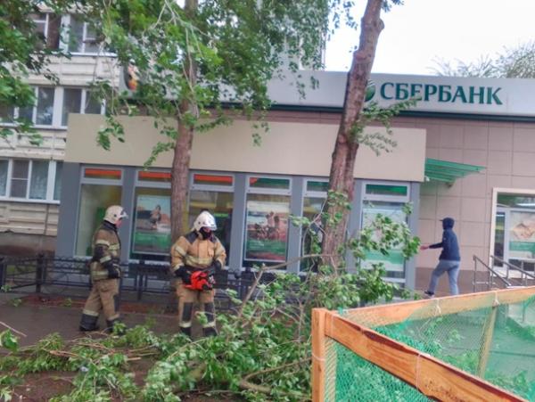 Обрыв линий электропередач, перевернутая остановка и 30 упавших деревьев: в администрации Волгодонска рассказали о последствиях ураганного ветра