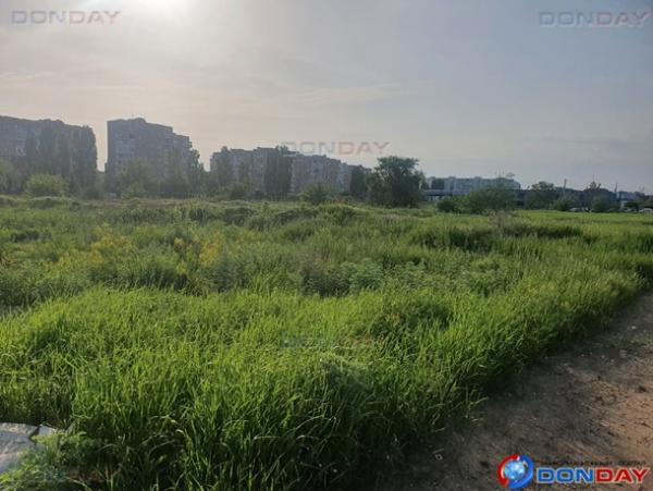 «Скоро весь город превратится в джунгли»: жительница Волгодонска возмущена отсутствием покоса травы в новой части города