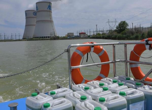 Ростовская АЭС впервые провела экологическую реабилитацию реки Дон от размножения сине-зелёных водорослей