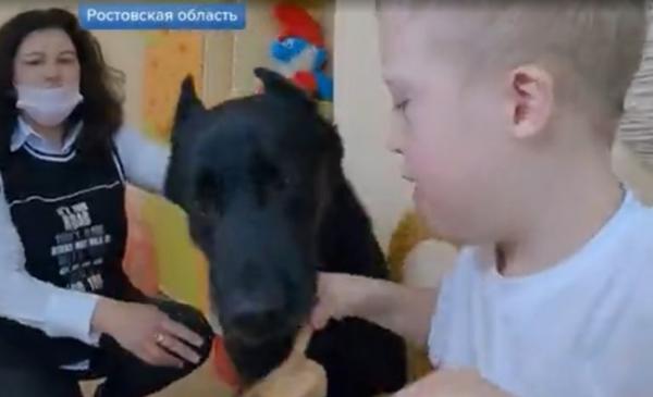 О канис-терапии в Волгодонске рассказали на «Первом канале»: видео