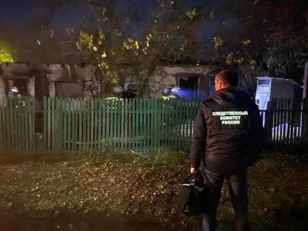 Мать троих малышей, погибших при пожаре в Зимовниковском районе, была ранее судима за кражу