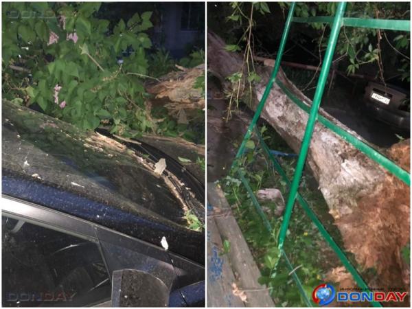 Упавшее дерево раздавило припаркованный автомобиль в одном из дворов в Волгодонске: видео