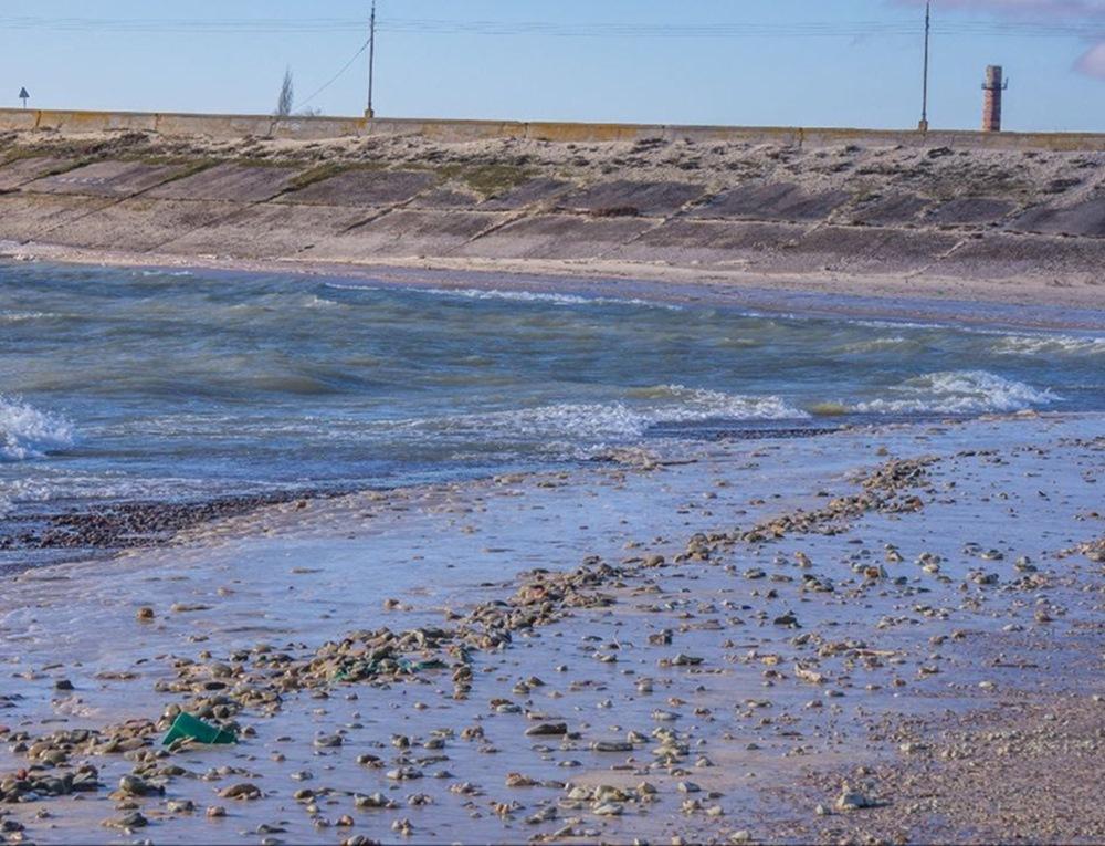 Погода цимлянское водохранилище поселок сафронов. Волгодонск Цимлянское водохранилище. Камышевское Цимянское водохранилищ. Цимлянское водохранилище обмелело. Цимлянское водохранилище Ростовской области.