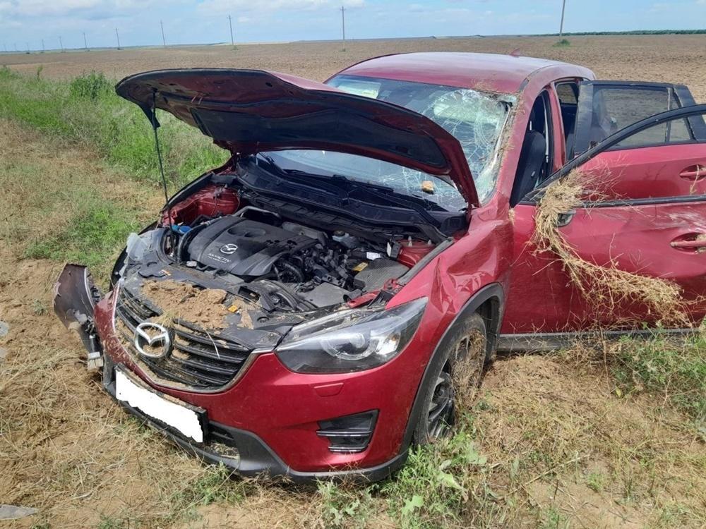 Дтп зимовники ремонтное. Аварии на трассе астрахань элиста. За рулем на трассе. Дтп волгодонск зимовники. Дтп зимовники.