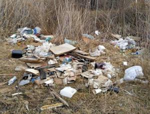 В Волгодонском районе на ликвидацию свалок потратят более двух миллионов рублей