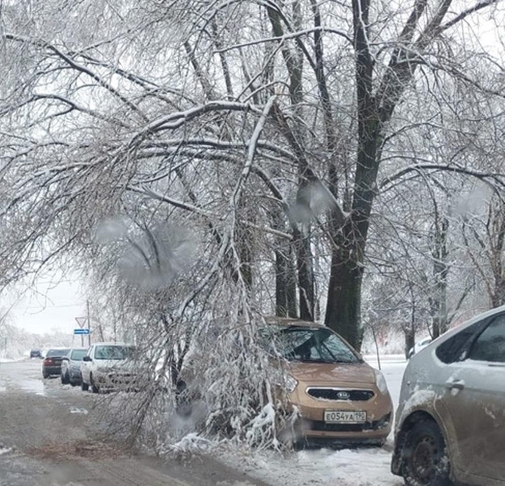 В Волгодонске массово повалились деревья из-за непогоды » Donday-Volgodonsk.ru  - новости Волгодонска. Происшествия, события, новости бизнеса, политики,  культуры и спорта.