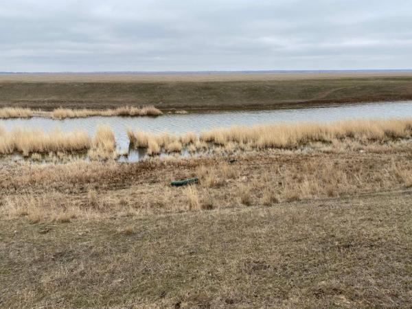 Появились подробности гибели мужчины и подростка в Дубовском районе