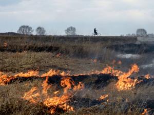В соседних с Волгодонском районах продлили пожароопасность 5 класса