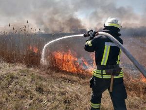 Высокий класс пожароопасности объявили в районах рядом с Волгодонском