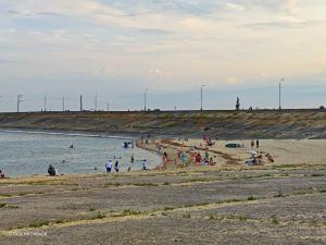 Волгодонцы возмущены состоянием пляжа на Цимлянском водохранилище