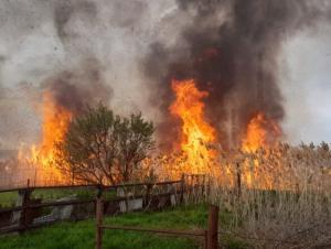 В Волгодонске 9 июня горела сухая растительность