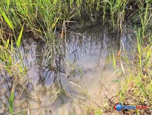В Волгодонске из-за порыва очищенная вода течет в залив: видео