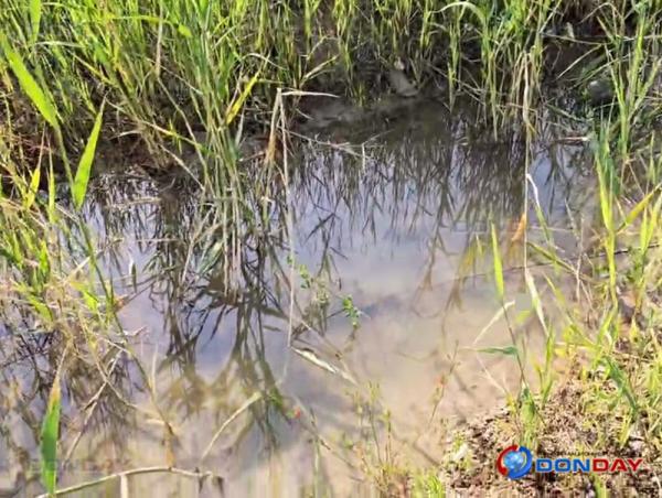 В Волгодонске из-за порыва очищенная вода течет в залив: видео
