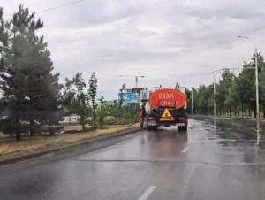 В Волгодонске в дождливую погоду поливают деревья: видео