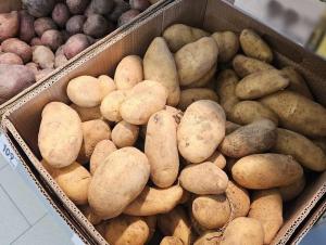В Волгодонске за месяц овощи подешевели в среднем на 30%