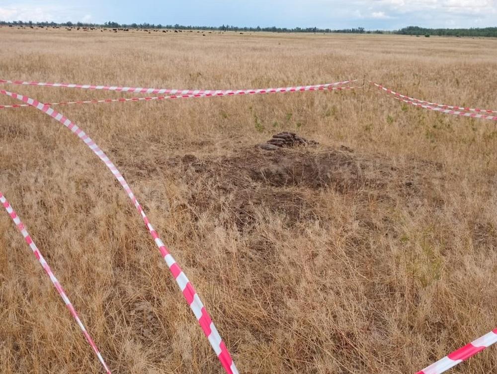 В Дубовском районе обезвредили боеприпасы времен ВОВ