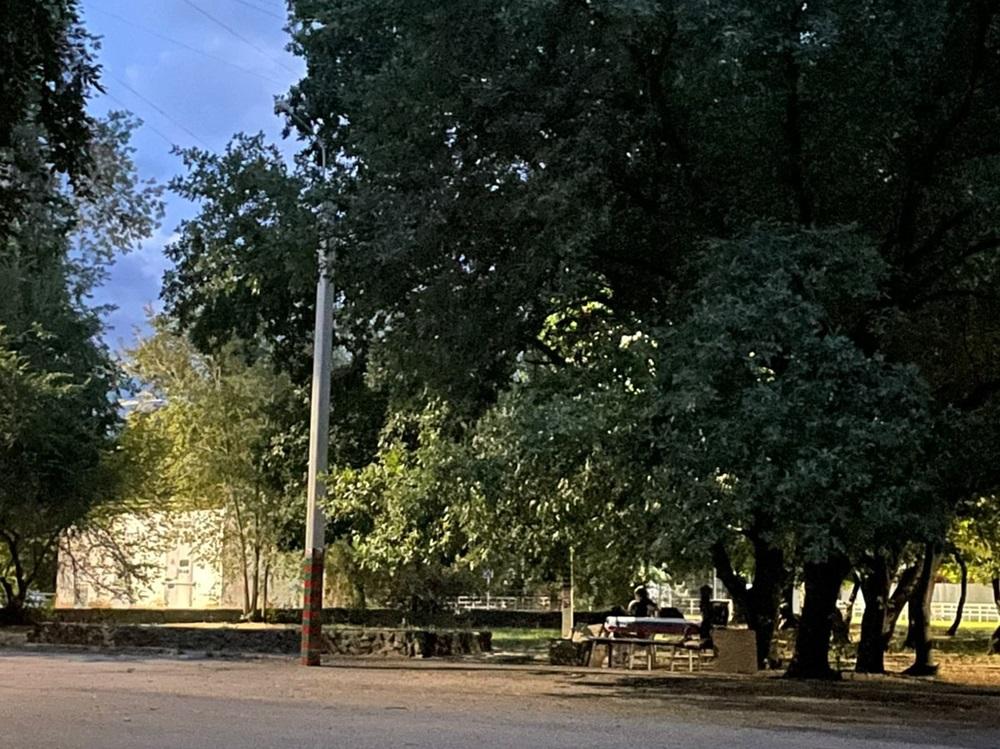 Волгодонцы пожаловались на тьму в Дубовой роще