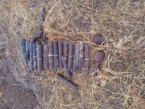 В Дубовском районе обезвредили боеприпасы времен ВОВ