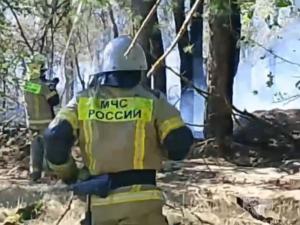 В Цимлянском районе пожар уничтожил 1 гектар леса