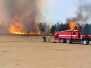 В Мартыновском районе горит лесничество