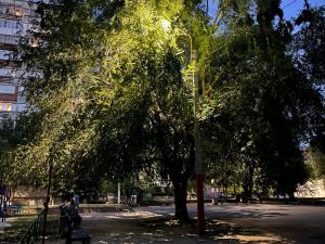 Волгодонцы пожаловались на тьму в Дубовой роще